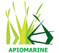 logo apiomarine
